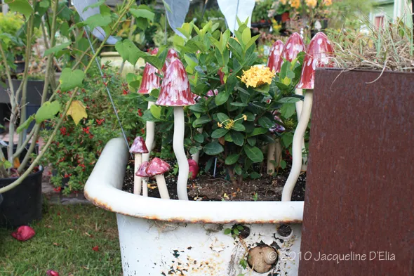 A rusty tub with a bunch of mushrooms in it.