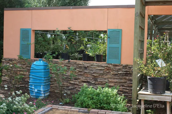 A blue water jug in a garden.
