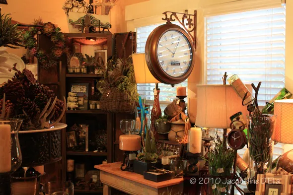 A room with a lot of plants and a clock.