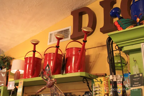 Red watering cans on a shelf.