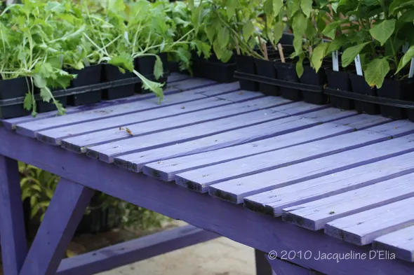 A purple bench with potted plants on it.