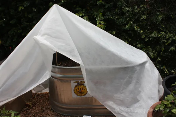 A white sheet covering a metal container in a garden.