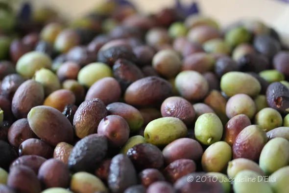 A bowl full of green and purple olives.