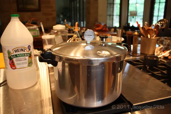 A stainless steel pot used for canning vegetables sitting on a stove top.