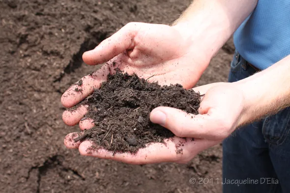 A man holding a pile of dirt in his hands.