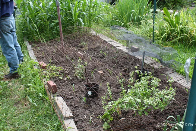 A man is standing next to a raised garden bed.