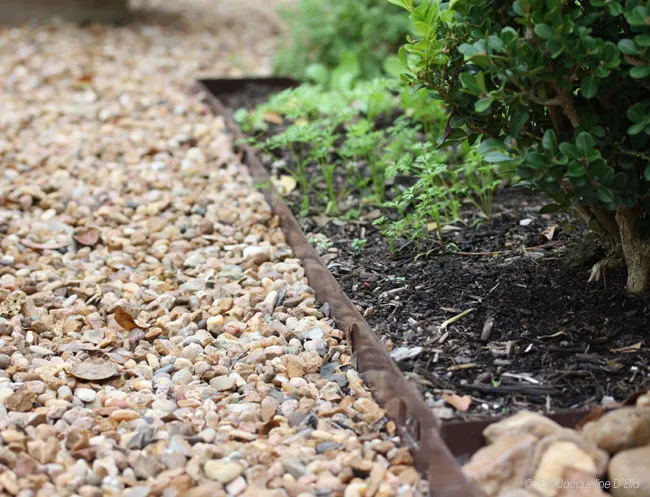 A kitchen garden with a gravel path and plants.