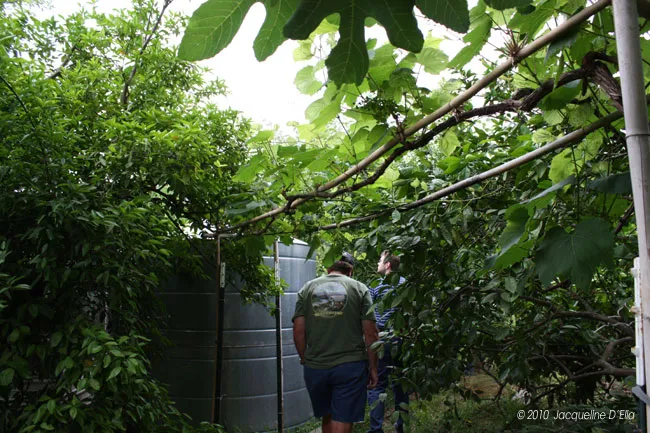 A man standing next to a water tank in a garden.