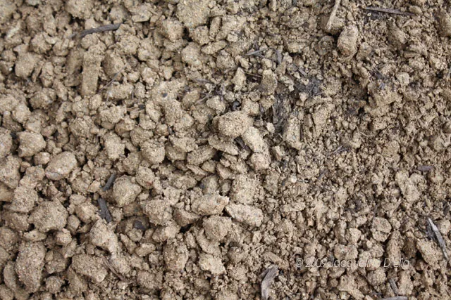 A close up image of a dirt surface.