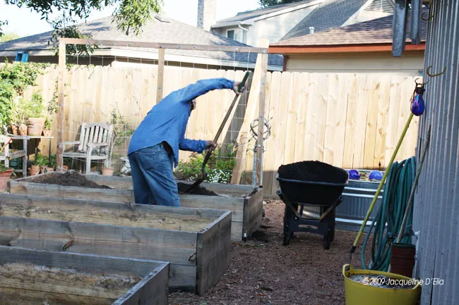 A man working in a raised garden bed.
