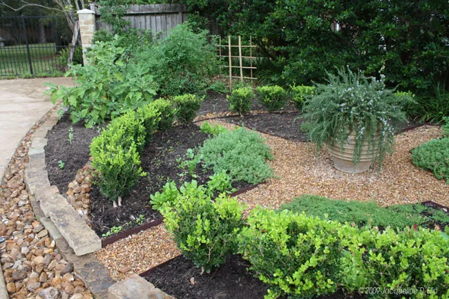 A circular kitchen garden bed with plants and rocks.
