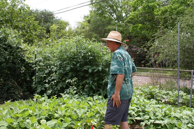 A man standing in a garden.