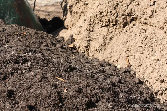 A pile of dirt in a garden.