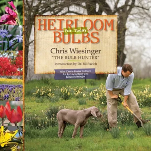 Chris Wiesinger heirloom bulbs.