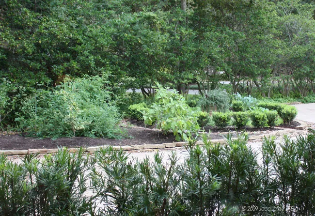A kitchen garden surrounded by shrubs and trees.