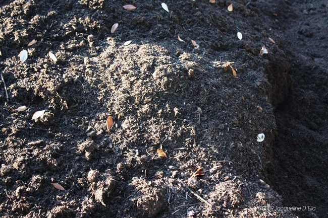 A pile of dirt with some seeds in it.