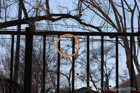 A black fence with an orange circle on it.