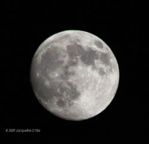 A full moon is seen in the dark sky.