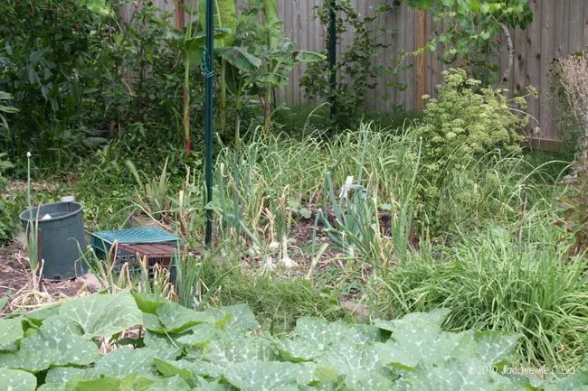 A wooden fence in a garden.