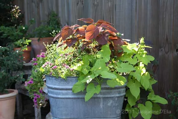 A metal planter with plants in it.