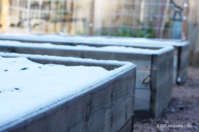 A row of wooden raised beds covered in snow.