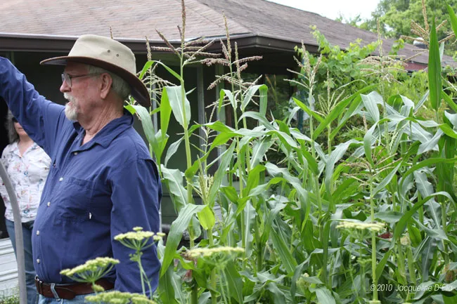 A man in a hat standing in a field of corn.