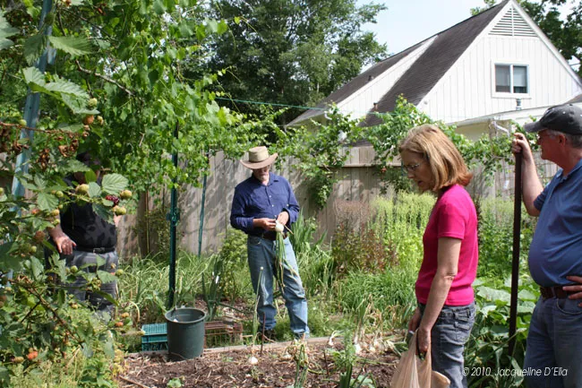 A group of people working in a garden.