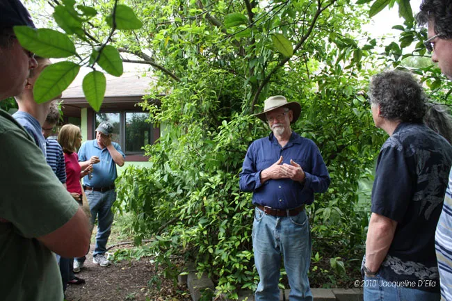 A group of people standing around a tree.