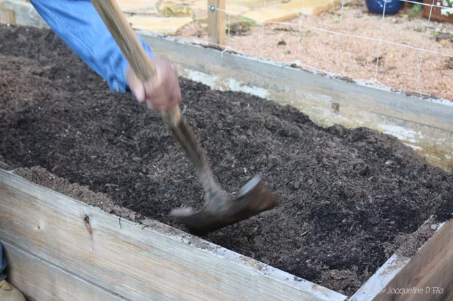 A man using a shovel to dig up soil in a raised garden bed.