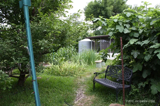 A bench in a garden.