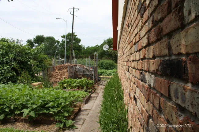 A brick wall next to a garden.