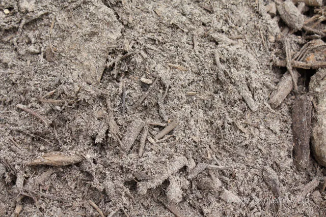 vegetable soil mix