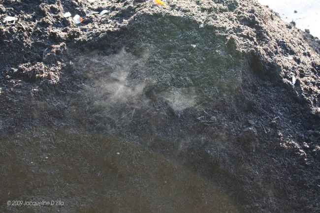 A pile of dirt with smoke coming out of it.