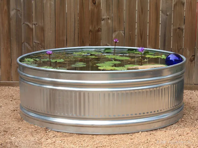 A large metal tub with water lilies in it.