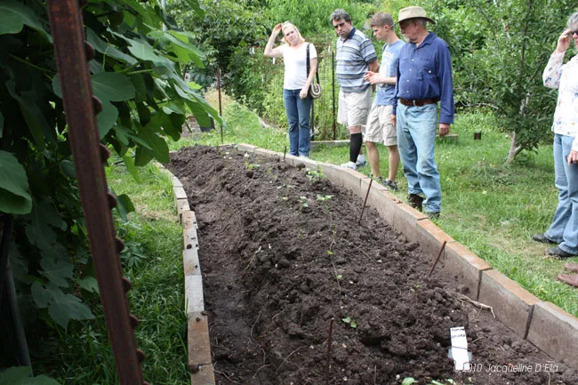 A group of people standing around a raised garden bed.