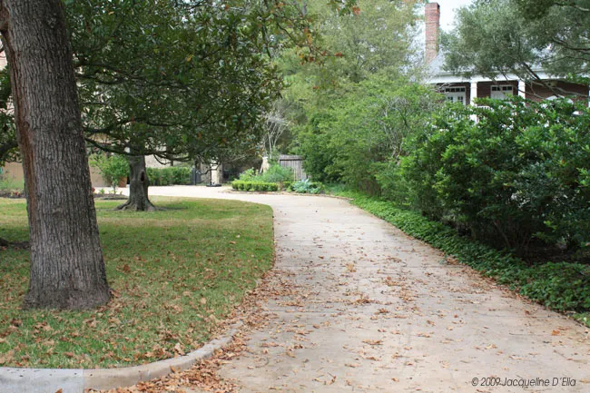 A house with a path and a tree in the background.