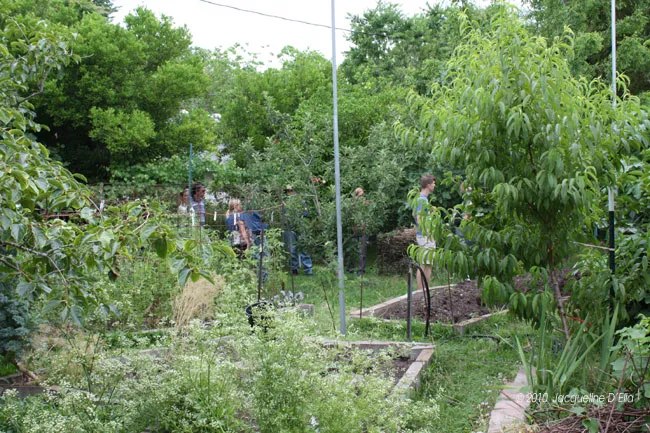 A group of people standing in a garden.
